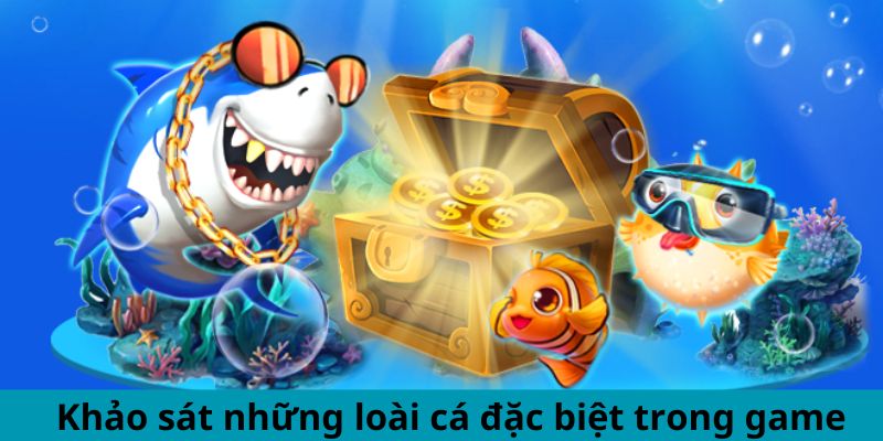 Khảo sát những loài cá đặc biệt trong game mỹ nhân ngư tại Win79