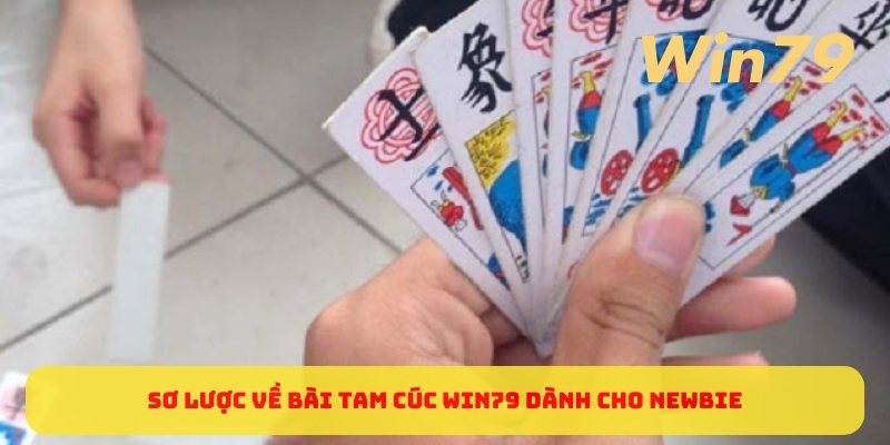 so-luoc-ve-bai-tam-cuc-win79-danh-cho-newbie